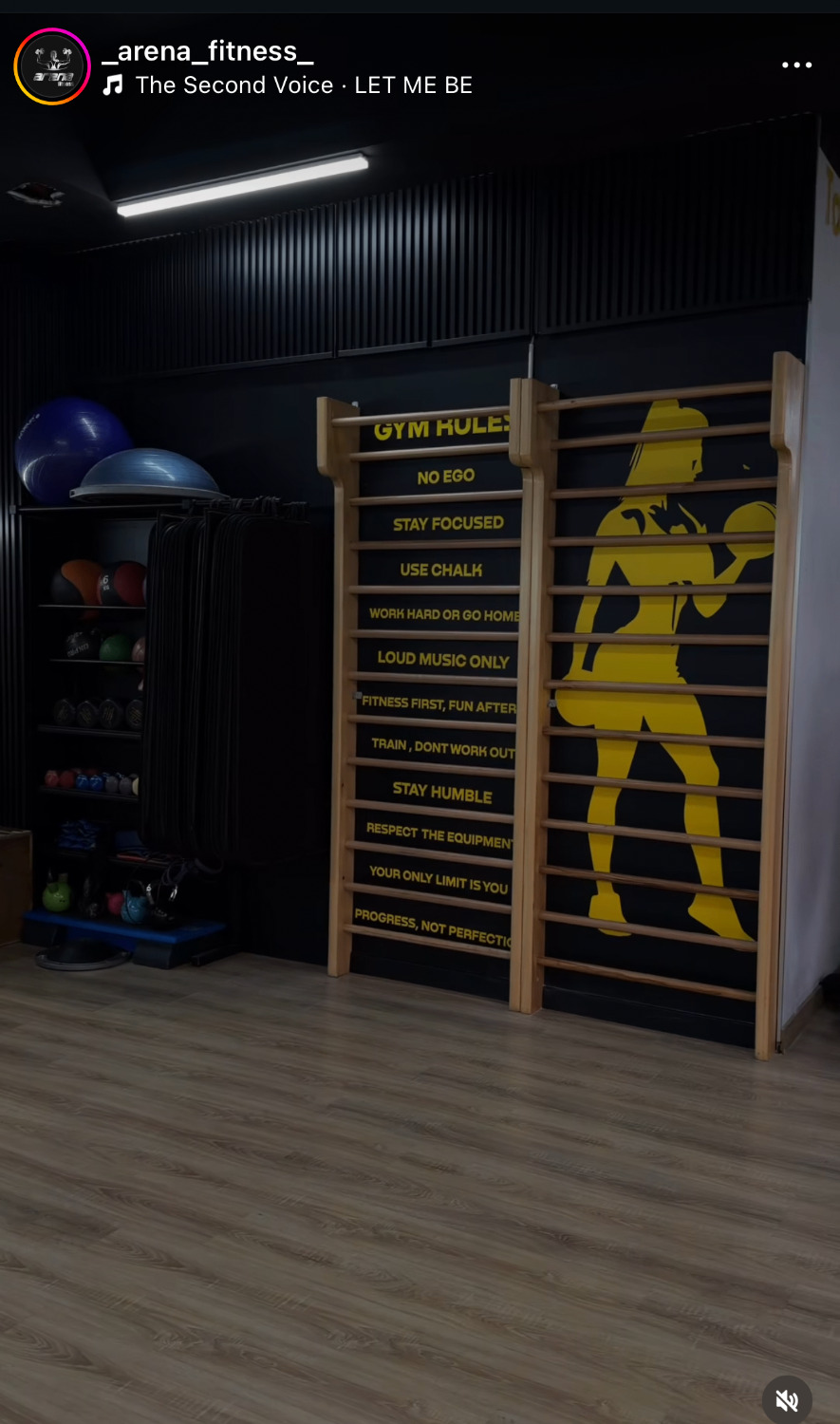 Gym rules board and stall bars inside Arena Fitness